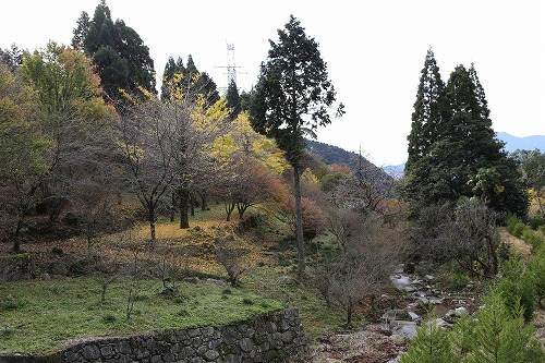 環境芸術の森18