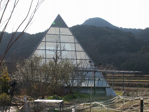登栄荘7