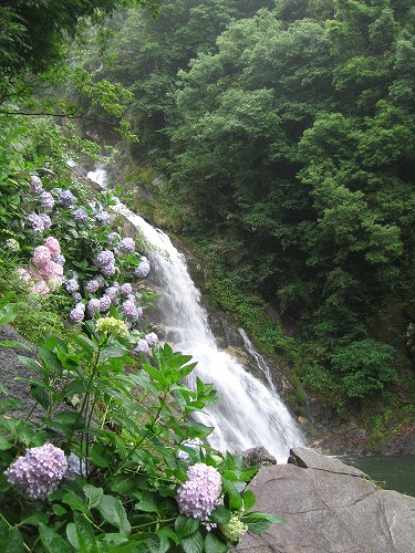 見帰りの滝8