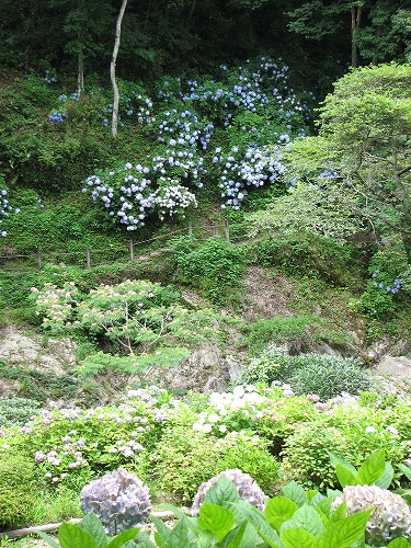 見返りの滝7
