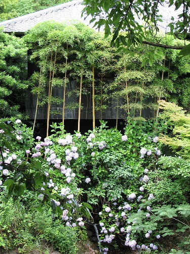 見返りの滝8