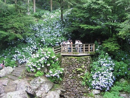 見返りの滝4
