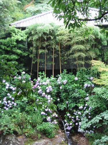 見返りの滝13