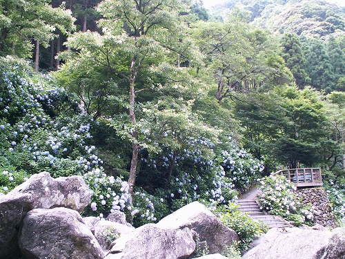見返りの滝23