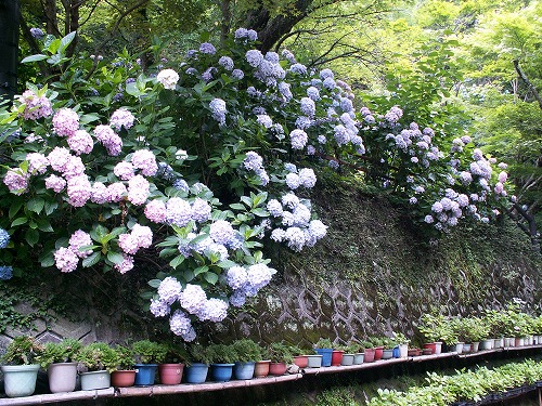 見返りの滝15