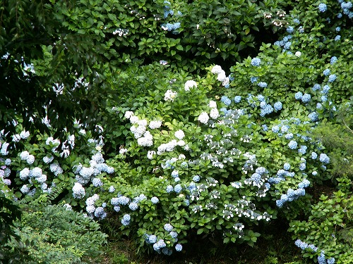 見返りの滝17