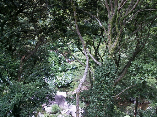 見返りの滝18