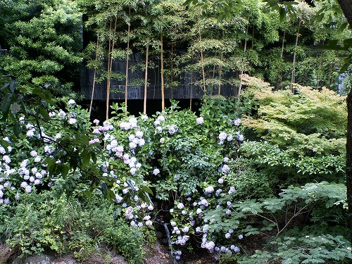見返りの滝19