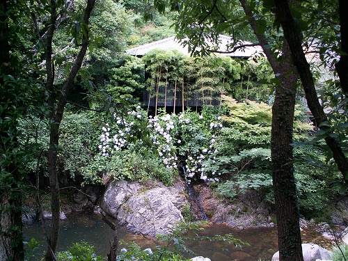 見返りの滝20