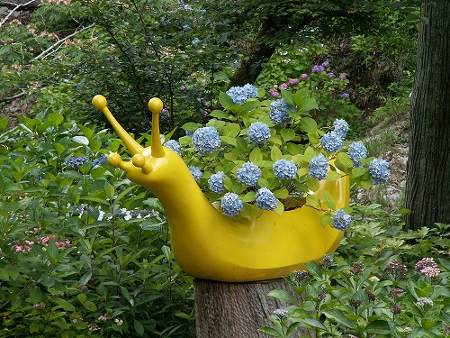 紫陽花展示園15