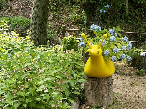 紫陽花展示園16