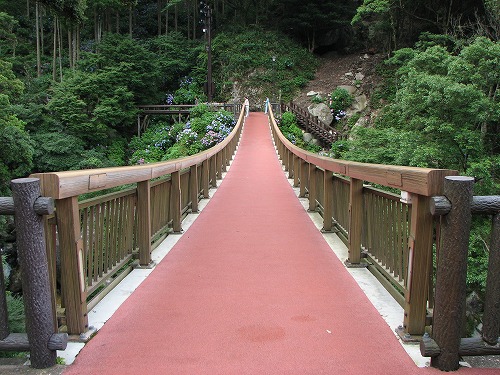 あじさい橋2