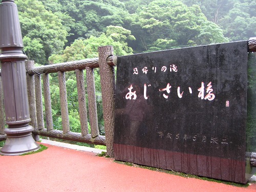 あじさい橋1
