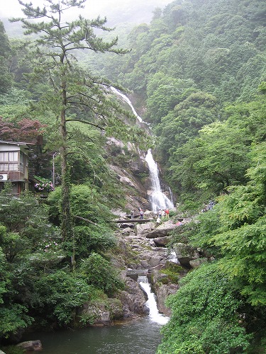 あじさい橋14
