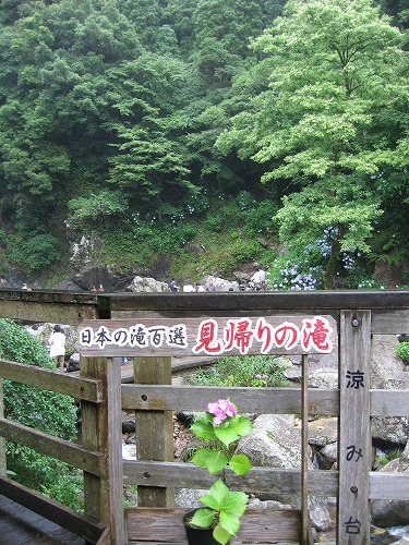 あじさい橋10