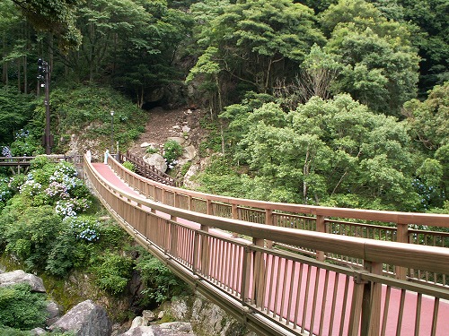 あじさい橋5