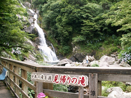 あじさい橋6