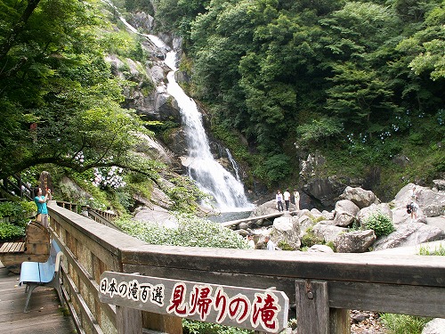 あじさい橋8