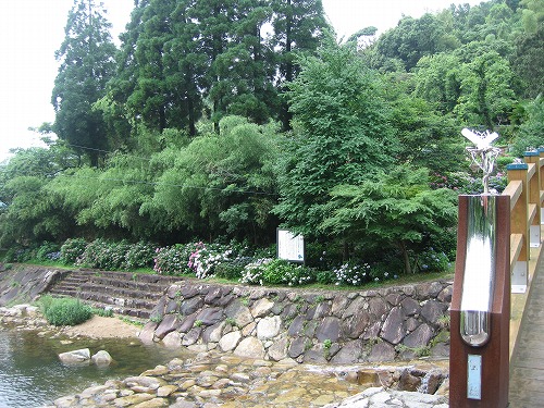 ほたる橋5