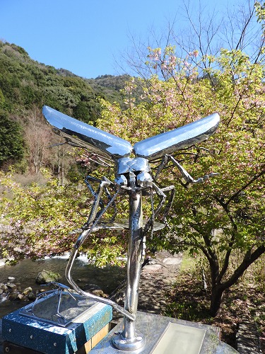 河津桜18