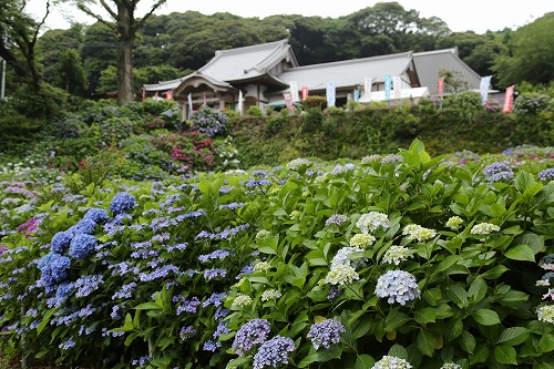 大聖寺1