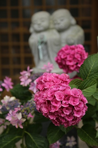 大聖寺19
