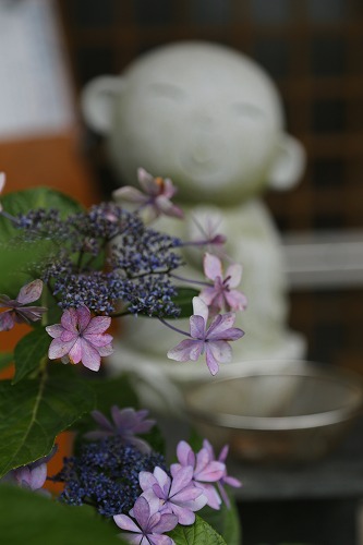 大聖寺20