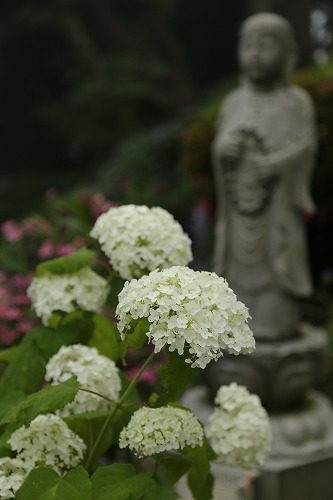 大聖寺27