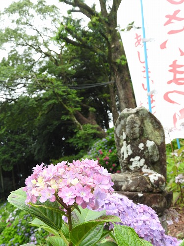 大聖寺28