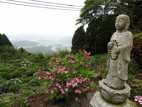 大聖寺7