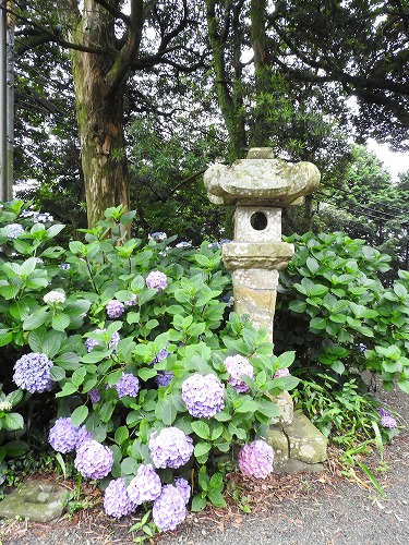 大聖寺29