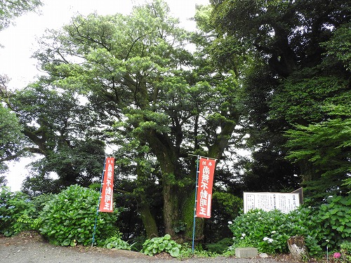 大聖寺12