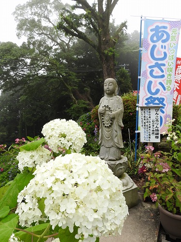 大聖寺30