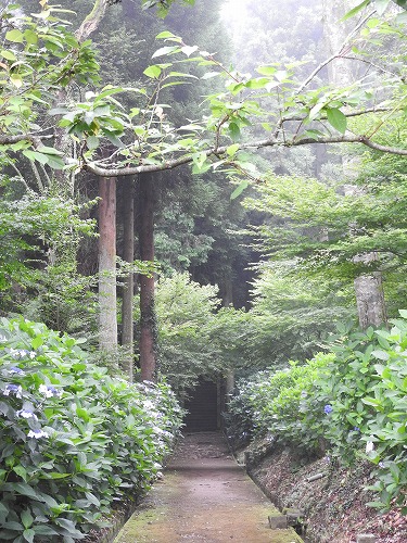 大聖寺18