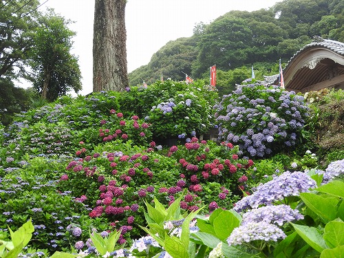 大聖寺5