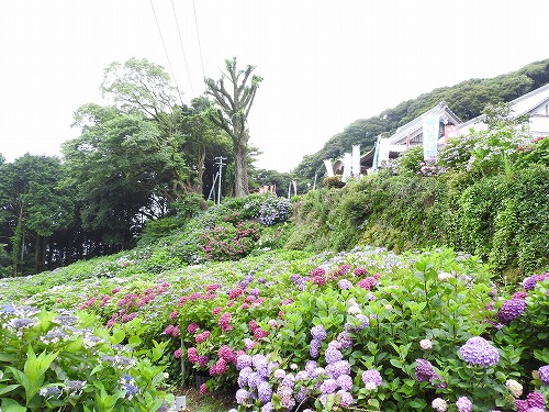 大聖寺33