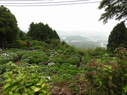 大聖寺25