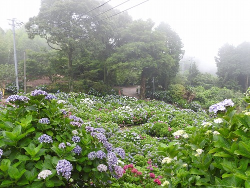 大聖寺28