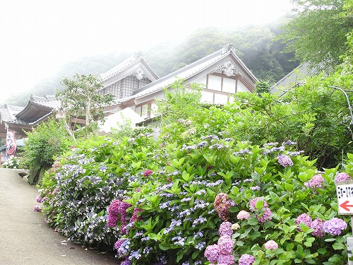 大聖寺30