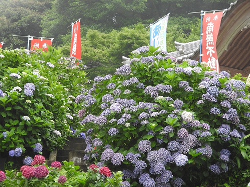 大聖寺29