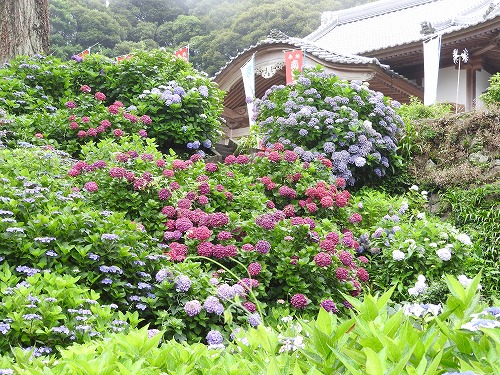 大聖寺31