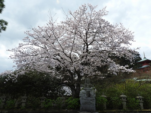 円応寺2