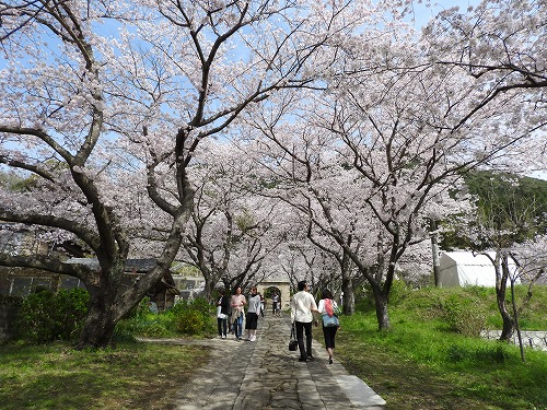 円応寺3