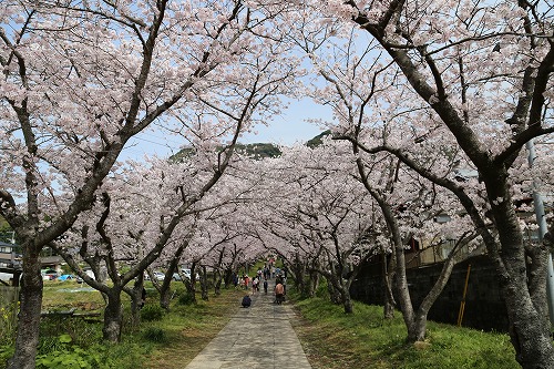 円応寺8