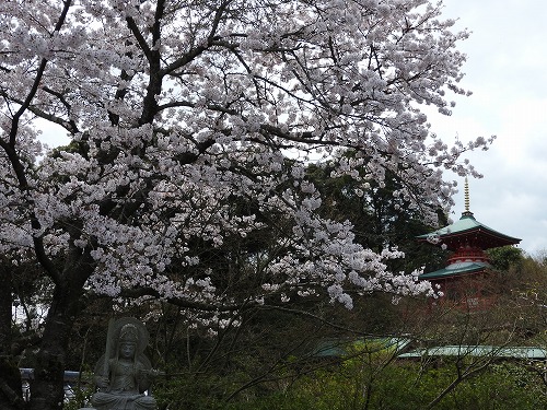 高野寺28