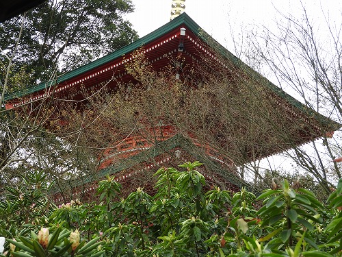 高野寺5