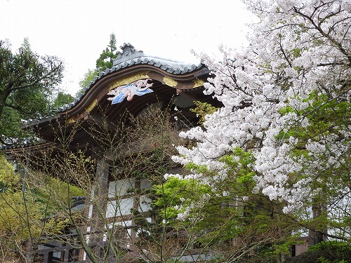 高野寺11