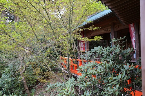 高野寺17