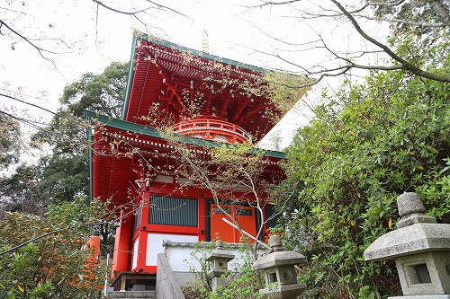 高野寺18