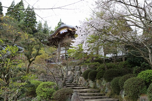 高野寺20